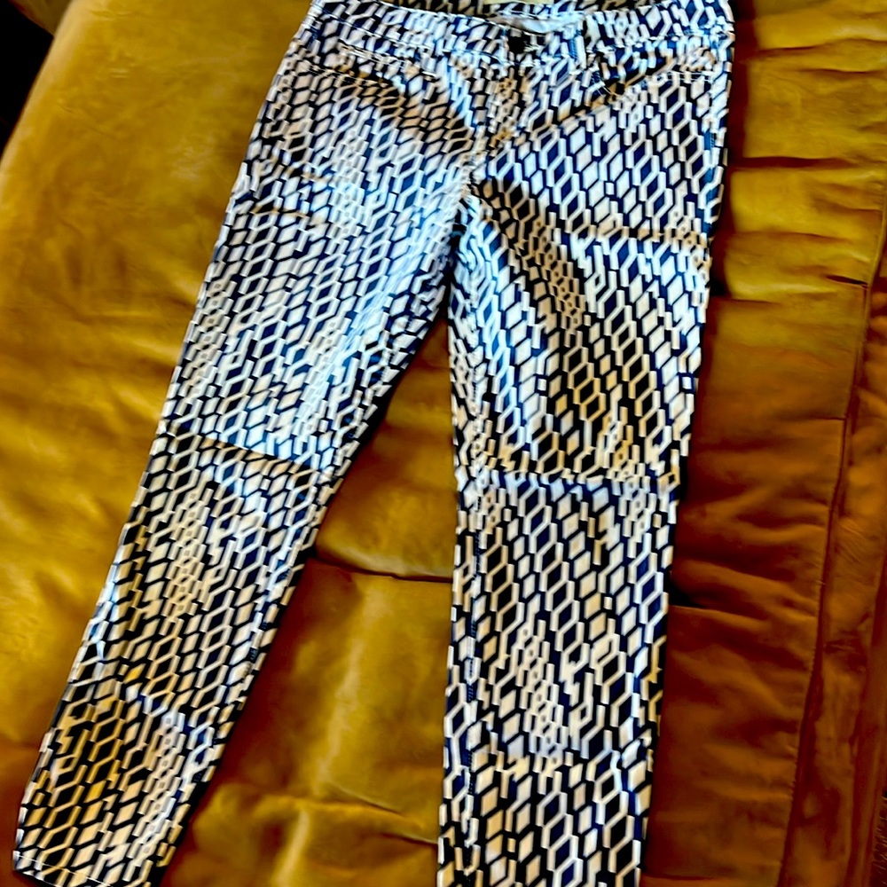 Joe’s  jean’s ankle skinny white and blue print W30